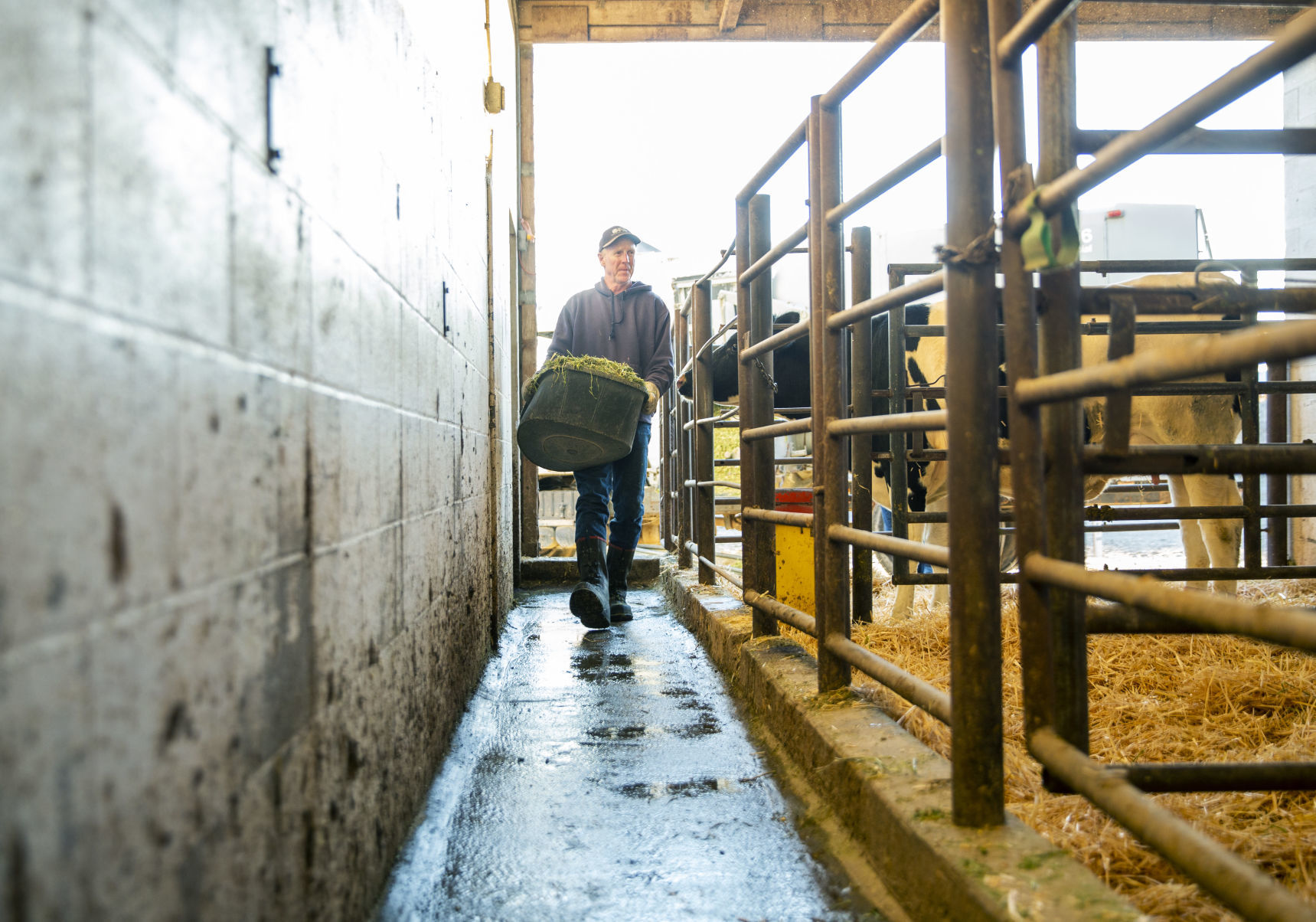 Dairy farm